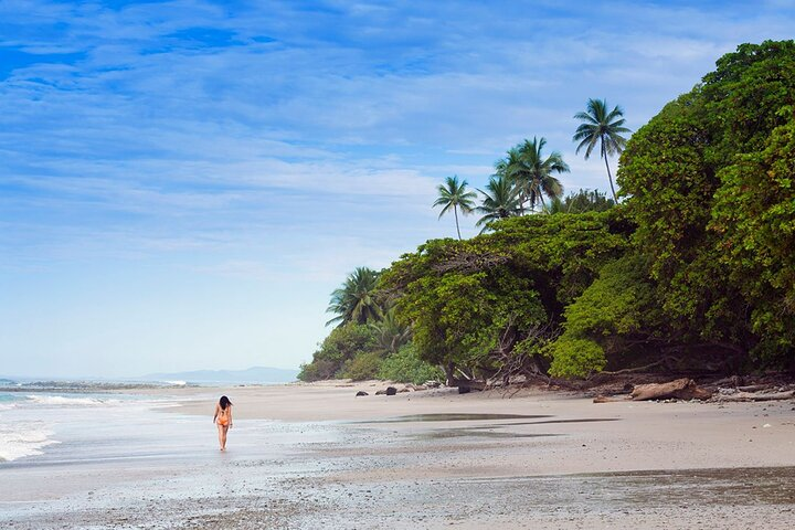 Shared Shuttle Arenal to Santa Teresa - Photo 1 of 7